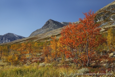 Rondane Dörålseter Norge