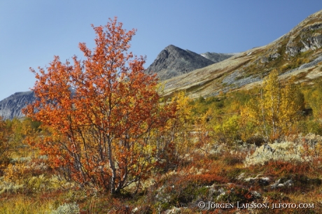 Rondane Dörålseter Norge