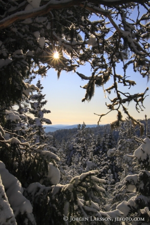 Järvsö Hälsingland