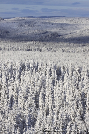 Vinterlandskap vid Grönklitt Dalarna Sverige