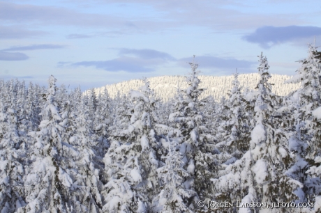 Vinterlandskap vid Grönklitt Dalarna Sverige