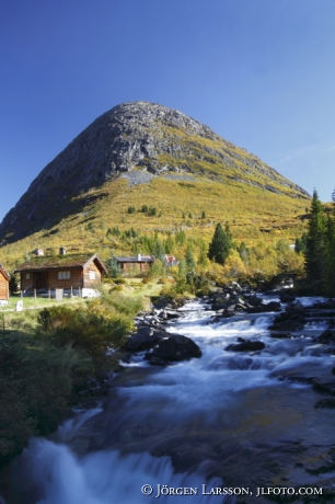 Grönning längs Trollstigsvägen Norge