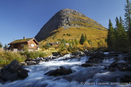 Grönning längs Trollstigsvägen Norge