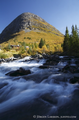 Grönning längs Trollstigsvägen Norge