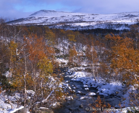 Höstfjäll