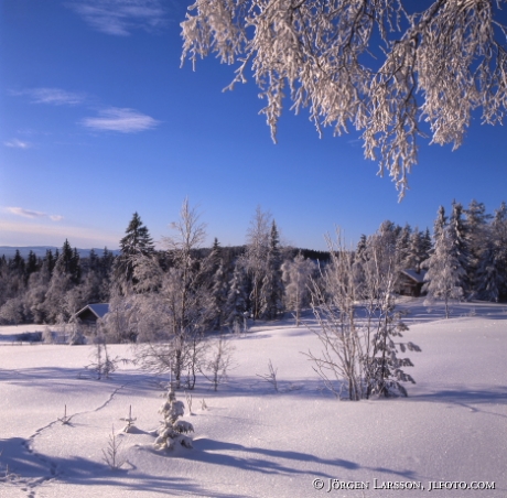 Fäbodar på vintern