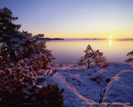 Coast in winter