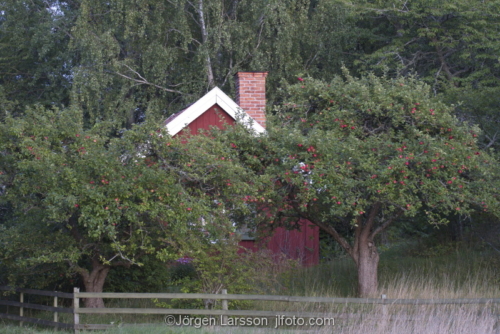 Red house Appeltrees Botkyrka Sodermanland Sweden