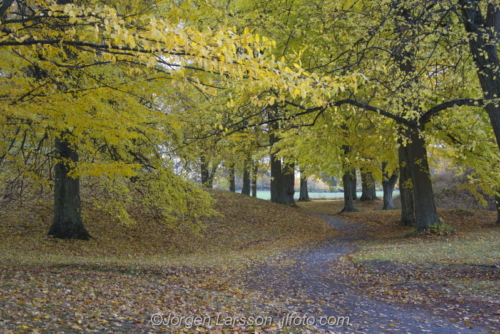 Norsborgsparken  Botkyrka Sodermanland Sweden