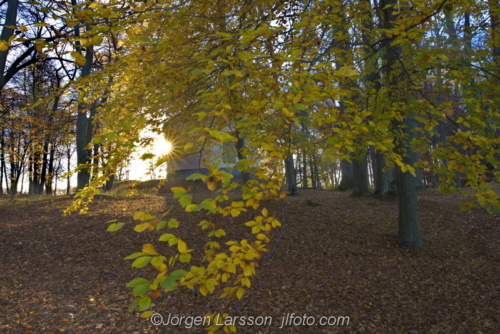 Norsborgsparken  Botkyrka Sodermanland Sweden