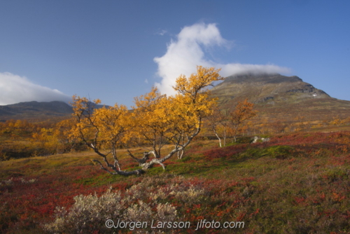 Snasahögarna Jämtland Sweden