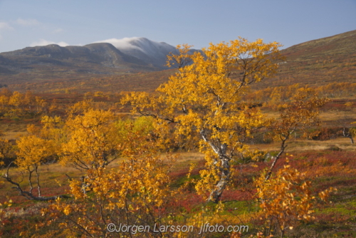 Snasahögarna Jämtland Sweden