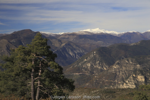 Nice France Frankrike  Alps  Alperna