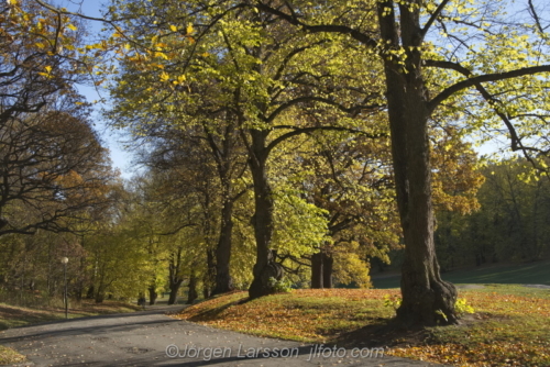 Hagaparken Stockholm