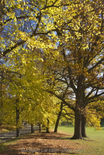 Hagaparken Stockholm