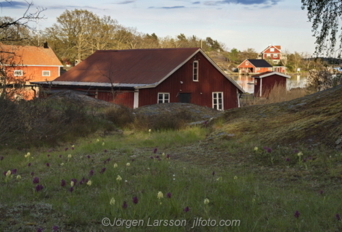 Nävelsö Småland Sweden