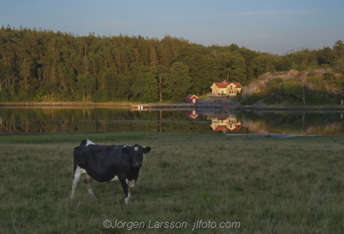 Sotenäs Bohuslän Sweden