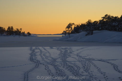 Winter at Stendorren Stendörren Sodermanland Sweden