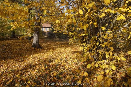 Tullgarn Sodermanland Sweden 