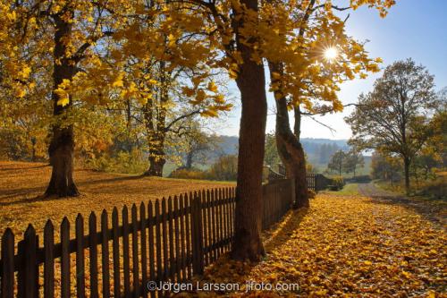 Tullgarn Sodermanland Sweden 