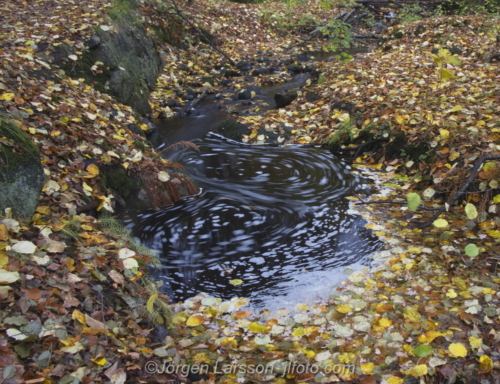 Autumn in Getådalen Södermanland Sweden