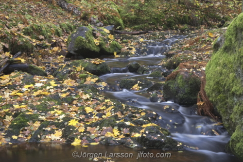 Autumn in Getådalen Södermanland Sweden