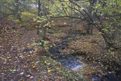 Autumn in Getådalen Södermanland Sweden