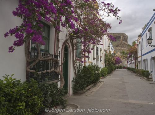 Houses in Puerto de Mogan Gran Canaria Spain Bougainvillea