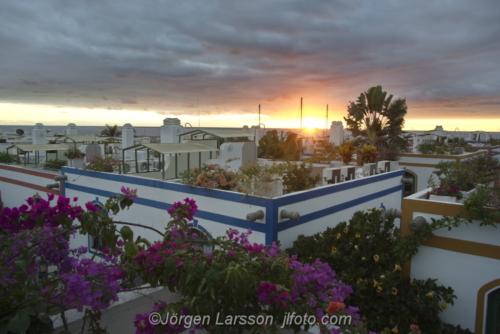 Houses in Puerto de Mogan Gran Canaria Spain Bougainvillea