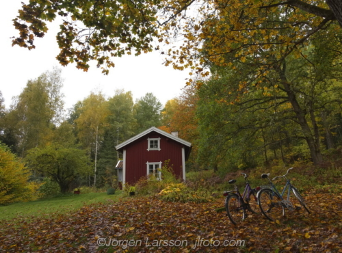 Red cottage. Bäckstugan  Skogsby Östergötland Sweden