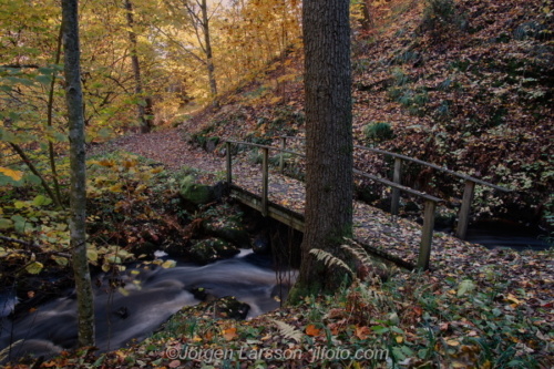 Getådalen  Getå Östergötland Sweden