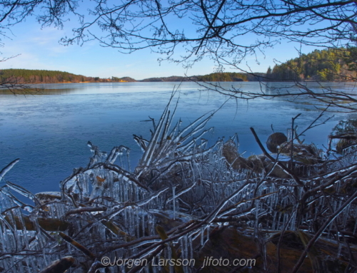 Mälaren Rödstenfjärden Sweden Sverige Is, Ice winter vinter