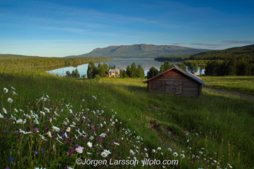 Sällsjö Jämtland Sweden Sverige