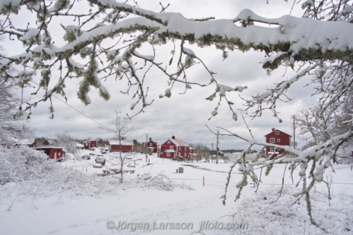 Nävelsö Småland Sverige Sweden coast winter, vinter