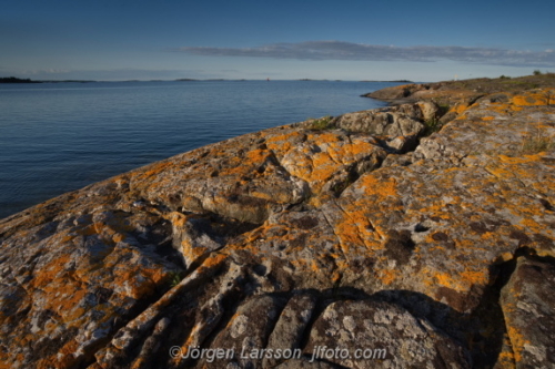 Tjusts skärgård Mussan  Småland Sweden Sverige