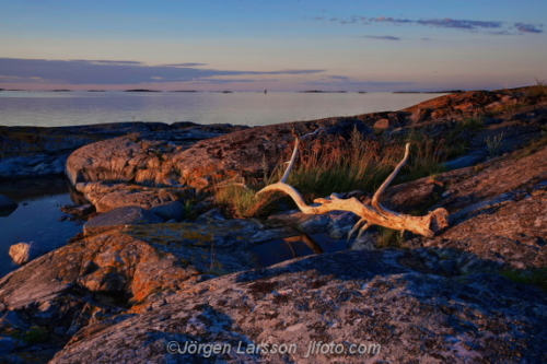 Tjusts skärgård Mussan  Småland Sweden Sverige