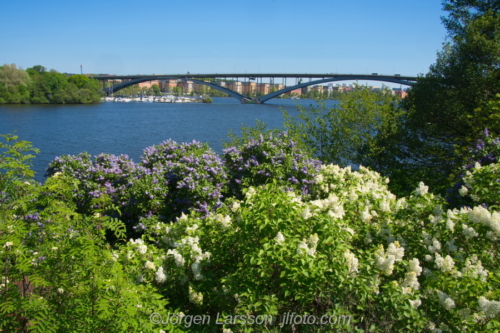 Stockholm Västerbron Sweden Sverige