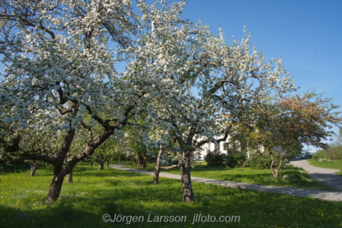 Yttergärna Södermanland Sweden Sverige