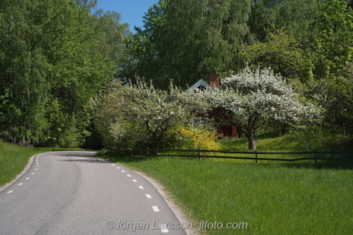 Cottage Stuga Vår Spring Botkyrka Södermanland Sweden Sverige