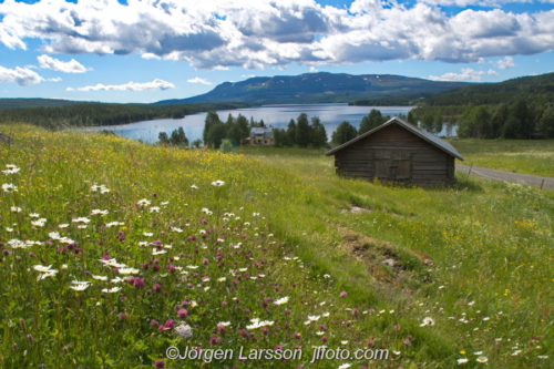 Sällsjö Jämtland Sweden Sverige