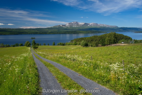 Kallsön Jämtland Sweden Sverige