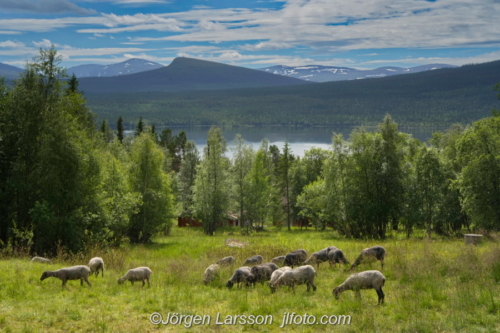 Ottsjö Jämtland Sweden Sverige