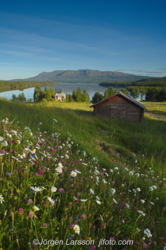 Sällsjö Jämtland Sweden Sverige