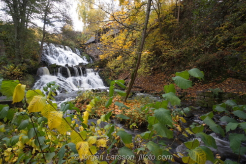 Röttle Småland Sverige Sweden Waterfall Vattenfall höst autumn