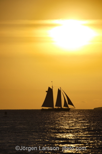 Key West Florida USA  Sunset sailboat 