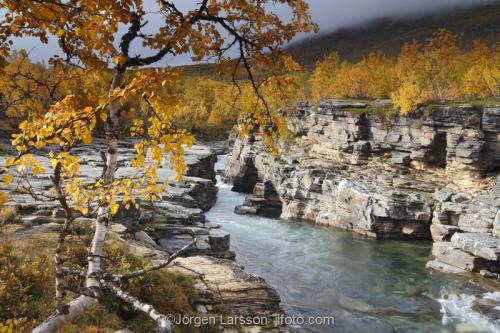 Lappland Laponia Autumn Sweden 