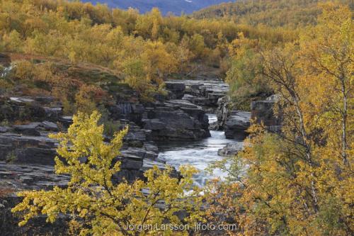 Lappland Laponia Autumn Sweden 