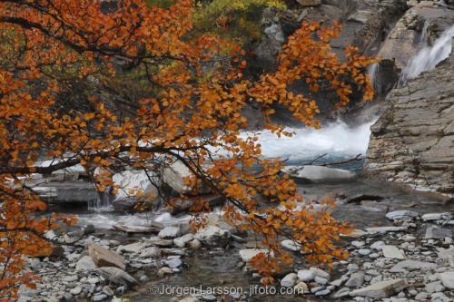 Lappland Laponia Autumn Sweden 