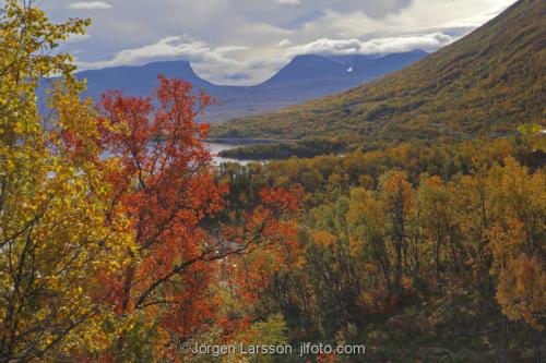 Lappland Laponia Autumn Sweden 