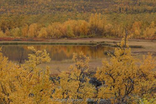 Lappland Laponia Autumn Sweden 